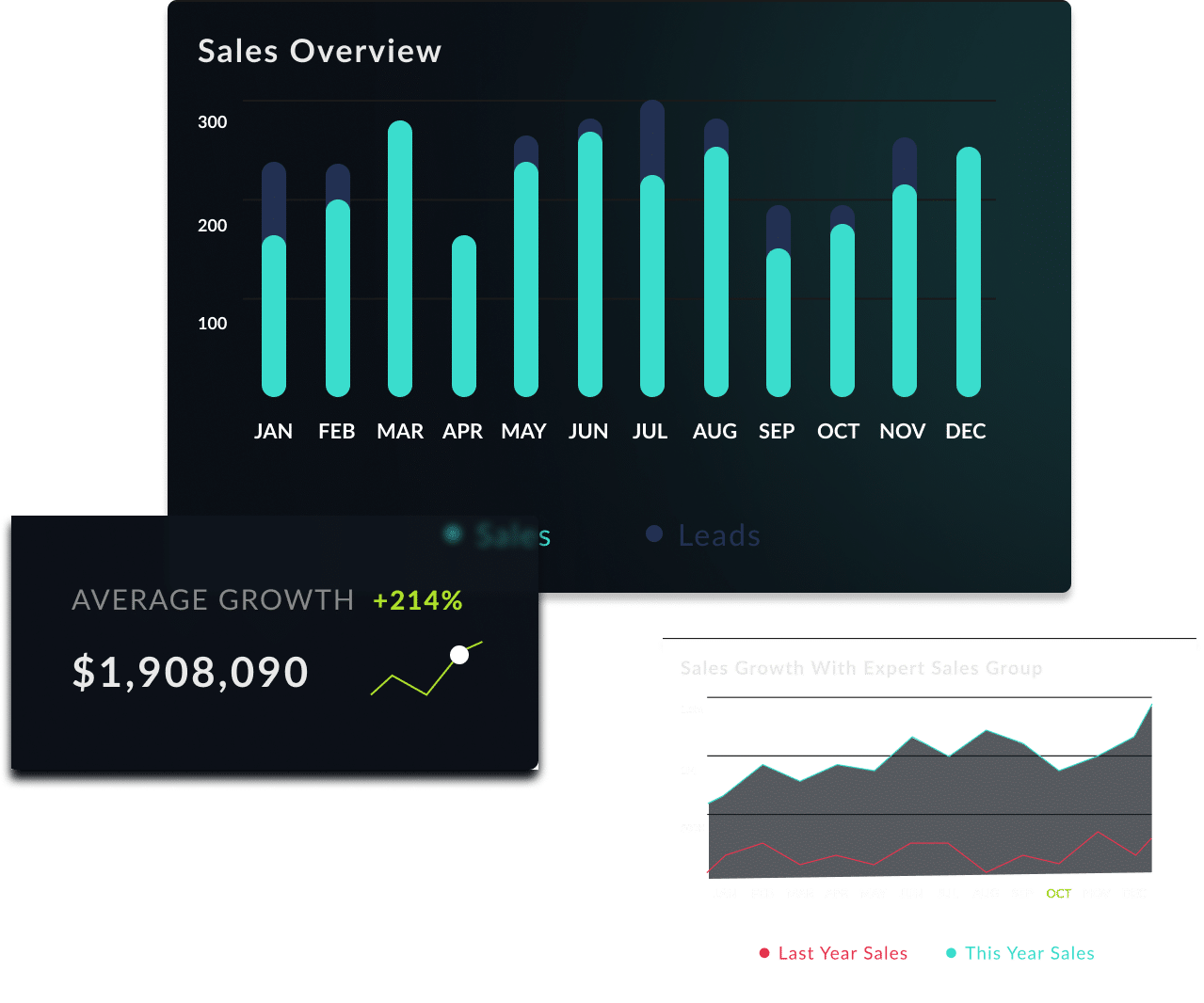 Monthly Sales Overview Expert Sales Group